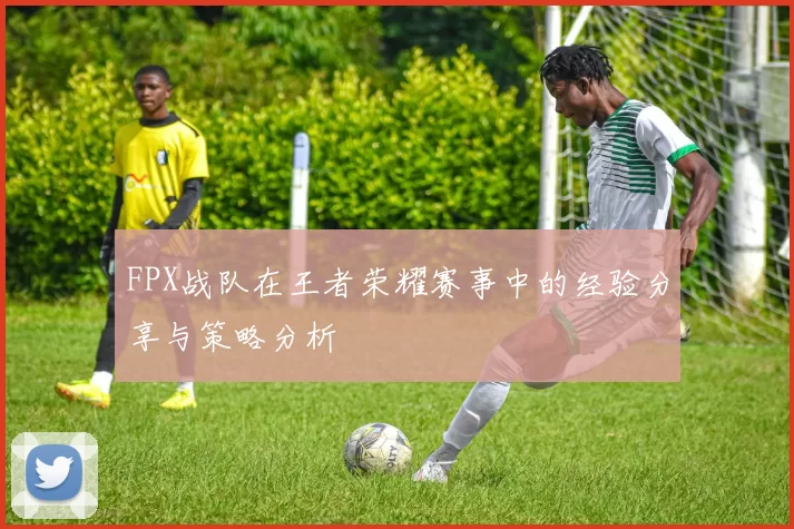 FPX战队在王者荣耀赛事中的经验分享与策略分析