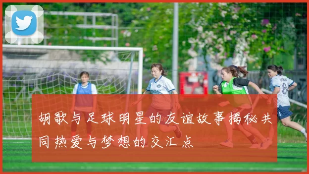 胡歌与足球明星的友谊故事揭秘共同热爱与梦想的交汇点