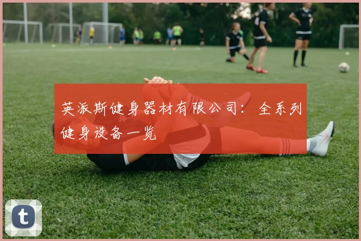 英派斯健身器材有限公司：全系列健身设备一览