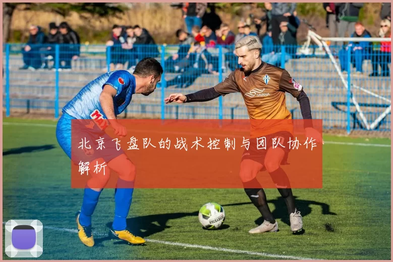 北京飞盘队的战术控制与团队协作解析