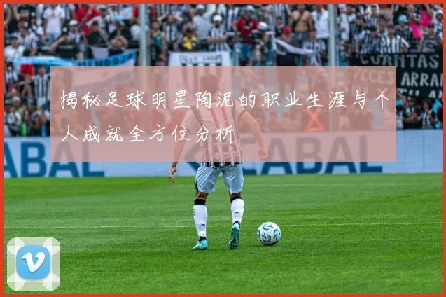 揭秘足球明星陶泥的职业生涯与个人成就全方位分析