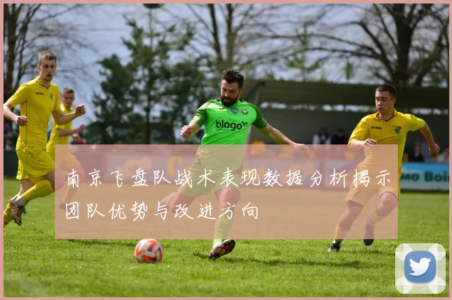南京飞盘队战术表现数据分析揭示团队优势与改进方向