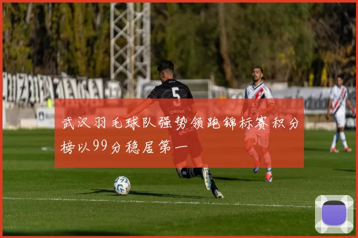 武汉羽毛球队强势领跑锦标赛积分榜以99分稳居第一