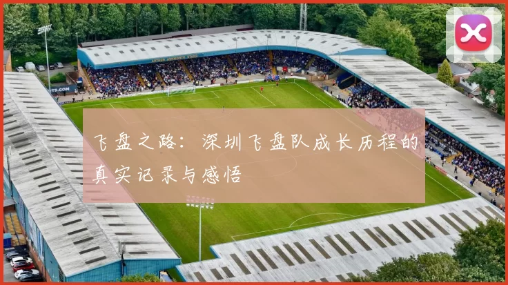 飞盘之路：深圳飞盘队成长历程的真实记录与感悟