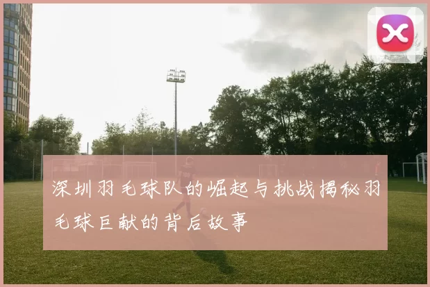 深圳羽毛球队的崛起与挑战揭秘羽毛球巨献的背后故事