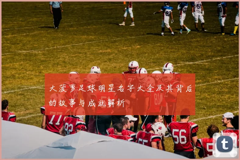 大菠萝足球明星名字大全及其背后的故事与成就解析