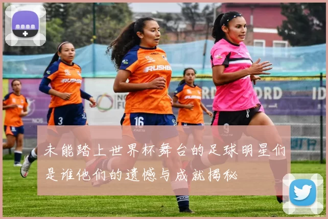 未能踏上世界杯舞台的足球明星们是谁他们的遗憾与成就揭秘