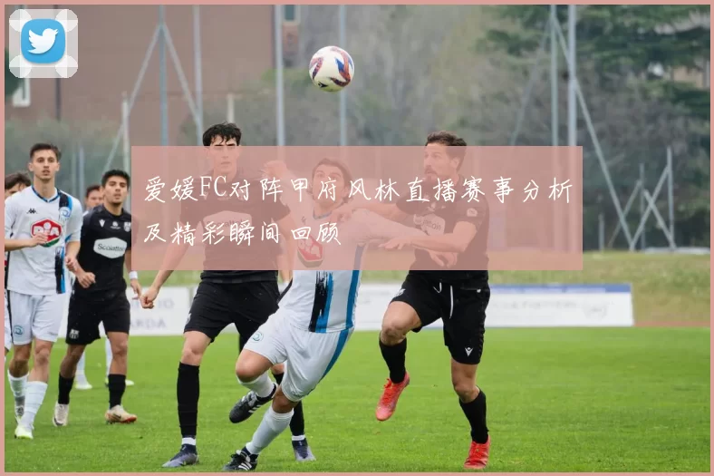 爱媛FC对阵甲府风林直播赛事分析及精彩瞬间回顾