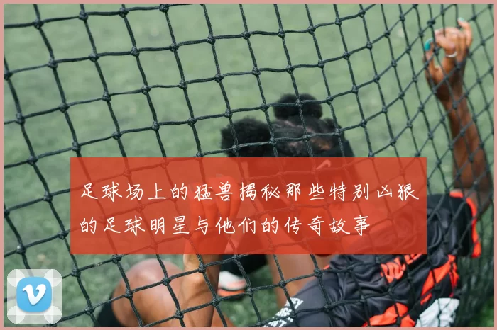 足球场上的猛兽揭秘那些特别凶狠的足球明星与他们的传奇故事