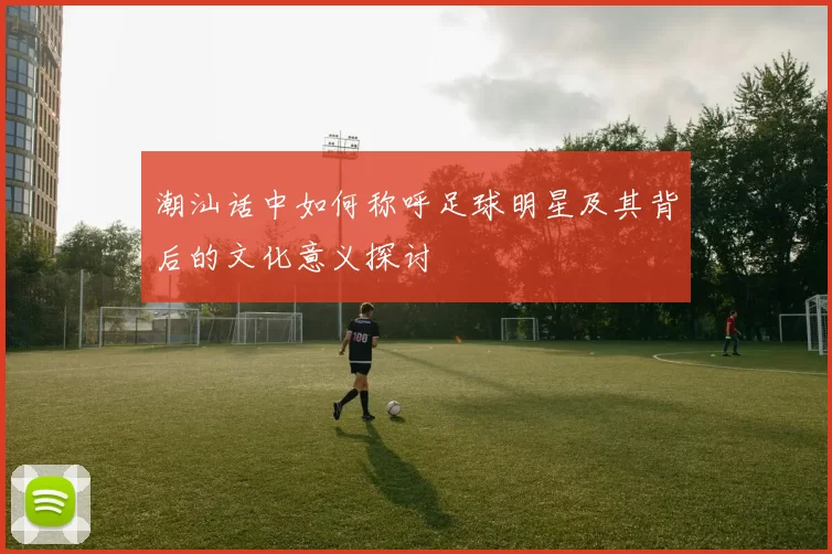 潮汕话中如何称呼足球明星及其背后的文化意义探讨