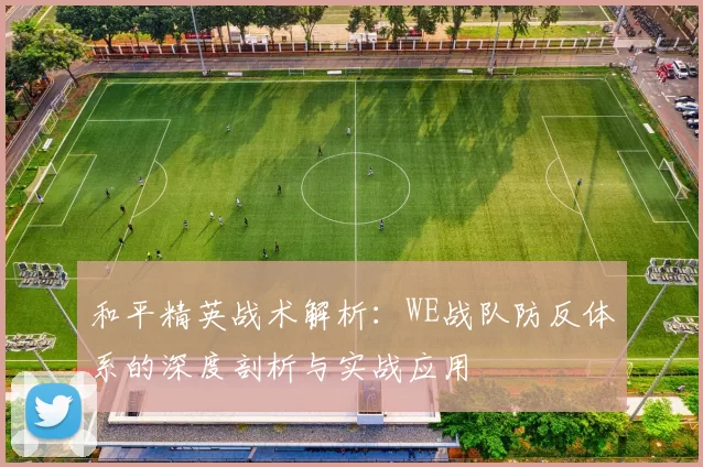 和平精英战术解析：WE战队防反体系的深度剖析与实战应用