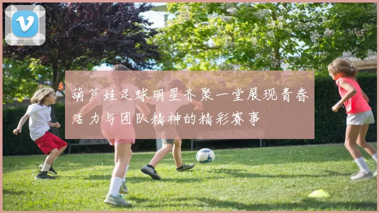 葫芦娃足球明星齐聚一堂展现青春活力与团队精神的精彩赛事