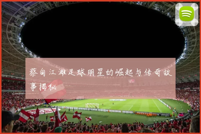 蔡甸江滩足球明星的崛起与传奇故事揭秘