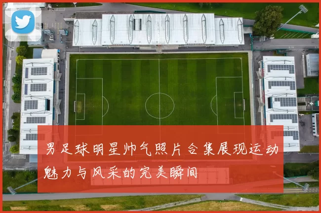 男足球明星帅气照片合集展现运动魅力与风采的完美瞬间