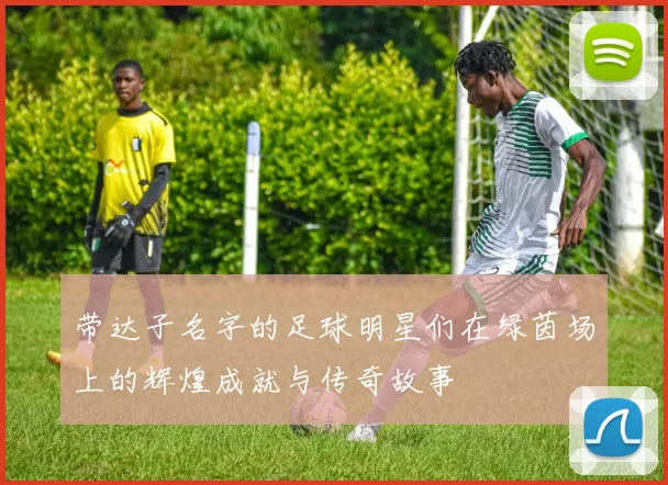 带达子名字的足球明星们在绿茵场上的辉煌成就与传奇故事