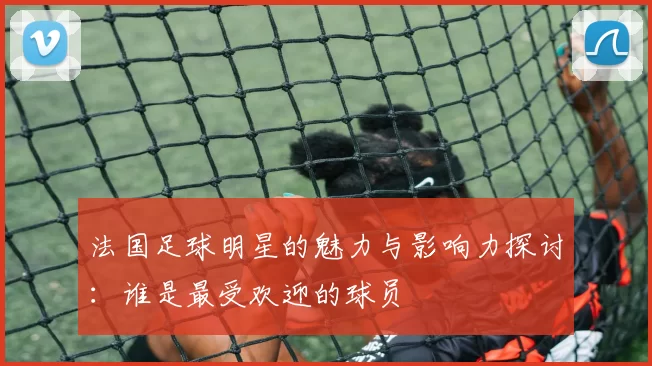 法国足球明星的魅力与影响力探讨：谁是最受欢迎的球员