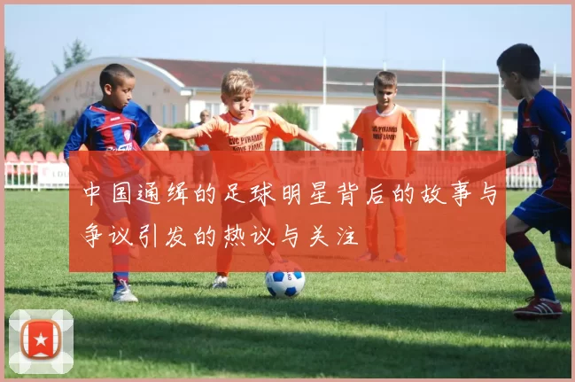 中国通缉的足球明星背后的故事与争议引发的热议与关注