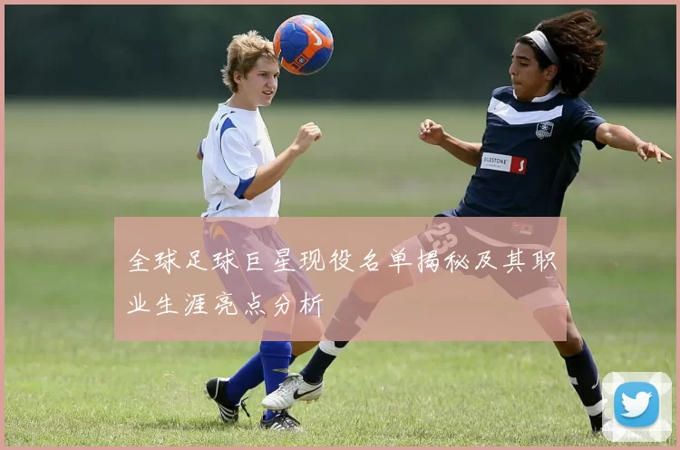 全球足球巨星现役名单揭秘及其职业生涯亮点分析