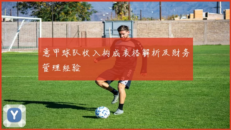 意甲球队收入构成表格解析及财务管理经验