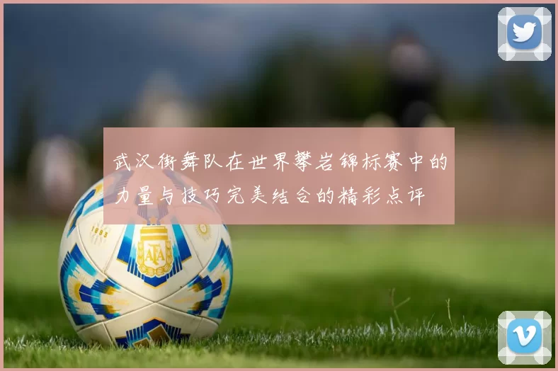 武汉街舞队在世界攀岩锦标赛中的力量与技巧完美结合的精彩点评