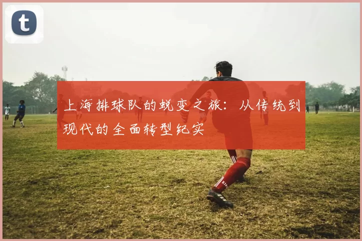上海排球队的蜕变之旅：从传统到现代的全面转型纪实