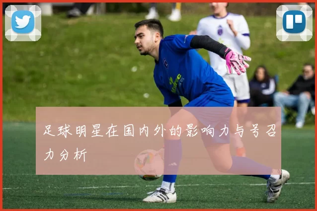 足球明星在国内外的影响力与号召力分析