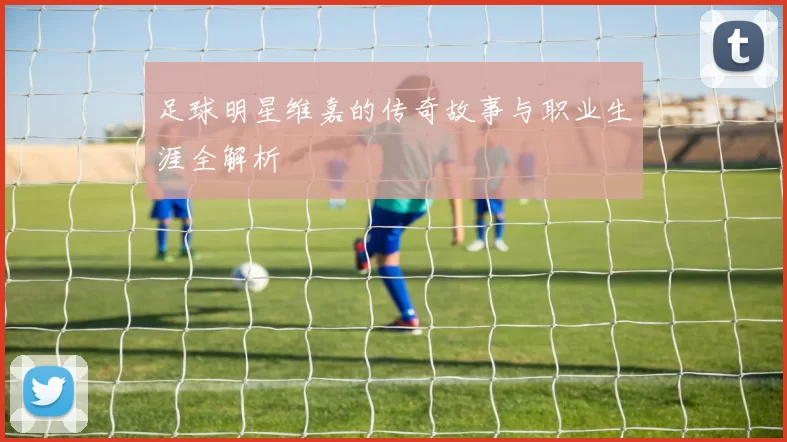 足球明星维嘉的传奇故事与职业生涯全解析