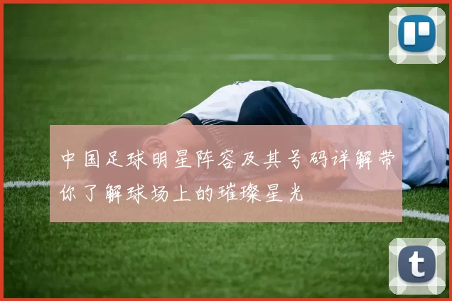 中国足球明星阵容及其号码详解带你了解球场上的璀璨星光