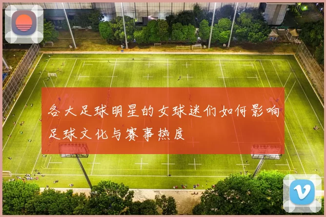 各大足球明星的女球迷们如何影响足球文化与赛事热度