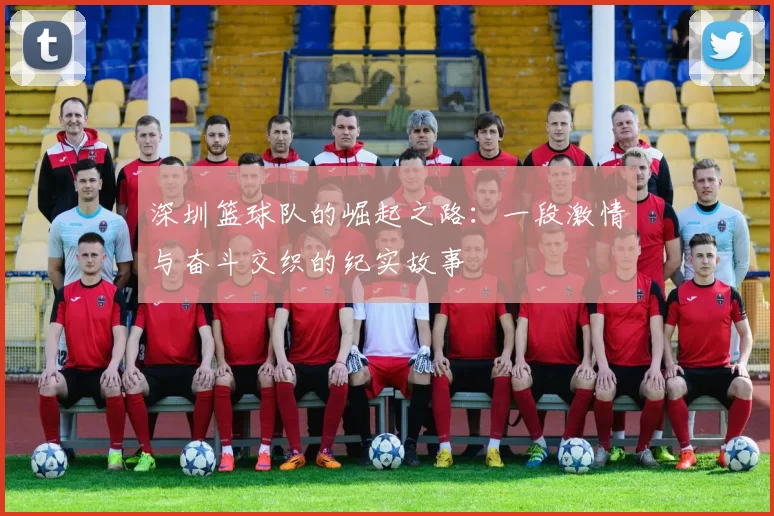 深圳篮球队的崛起之路：一段激情与奋斗交织的纪实故事